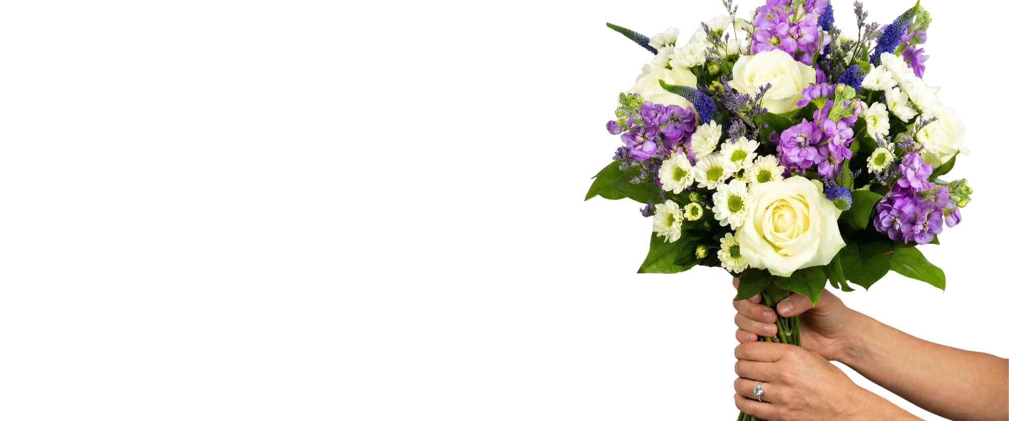 Bring a Little Flourish Home