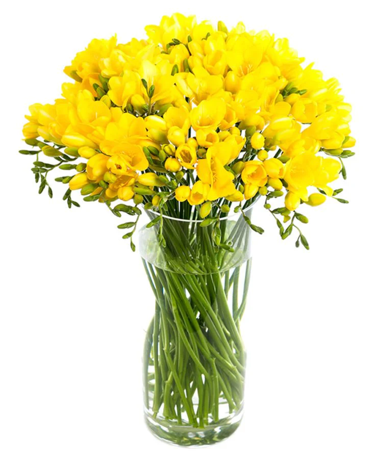 Subscription Flowers - Freesias - Image 3