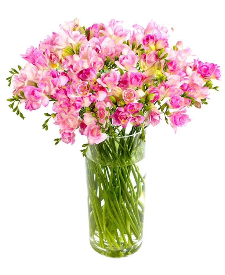 Subscription Flowers - Freesias - Image 8