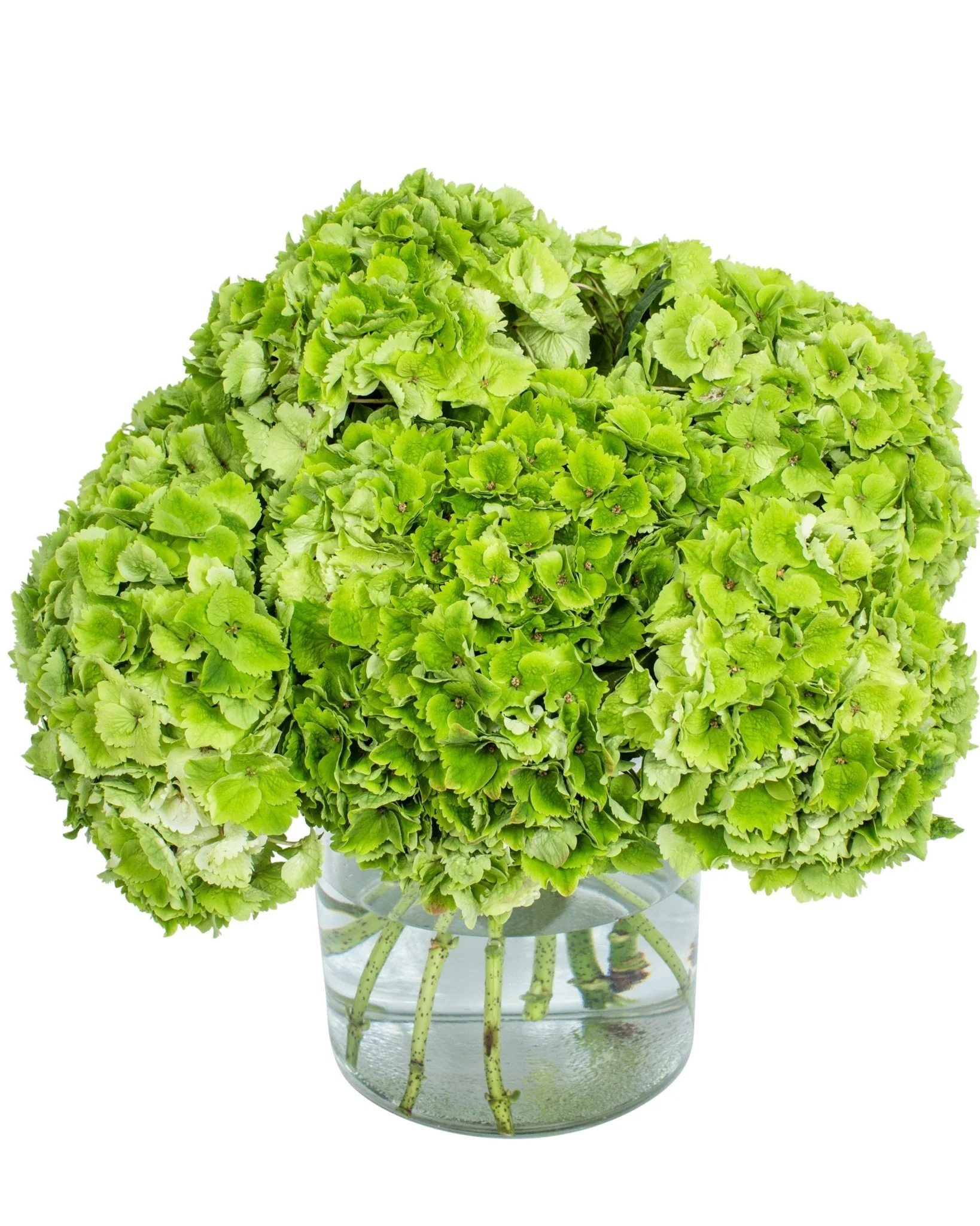 Fresh Flower Bouquets £30-£40