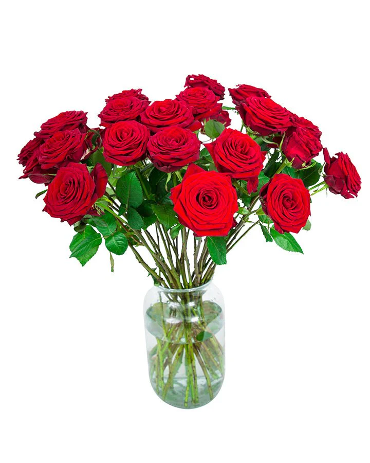 Roses - Long Stemmed - Red - Image 10