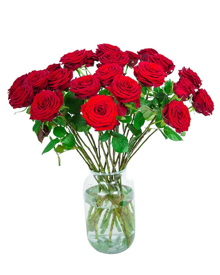 Roses - Long Stemmed - Red - Image 11