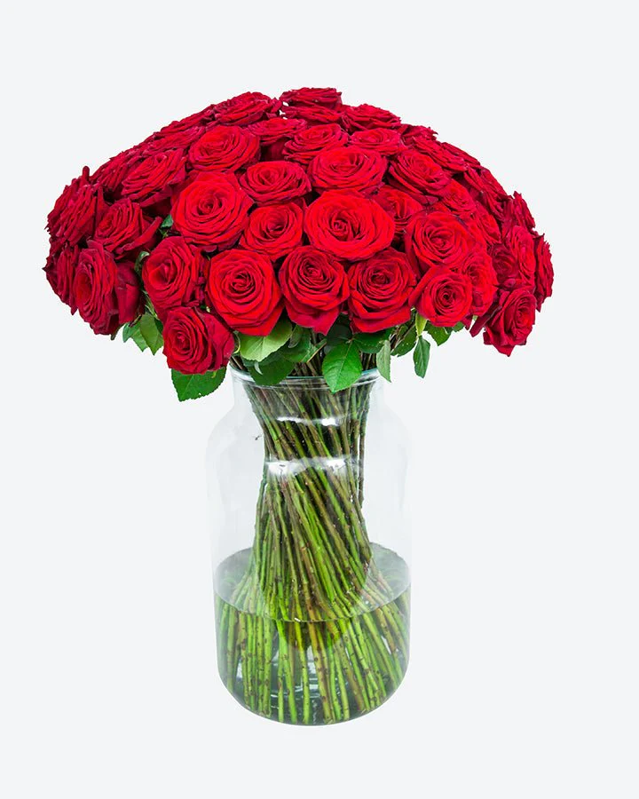 Roses - Long Stemmed - Red - Image 3