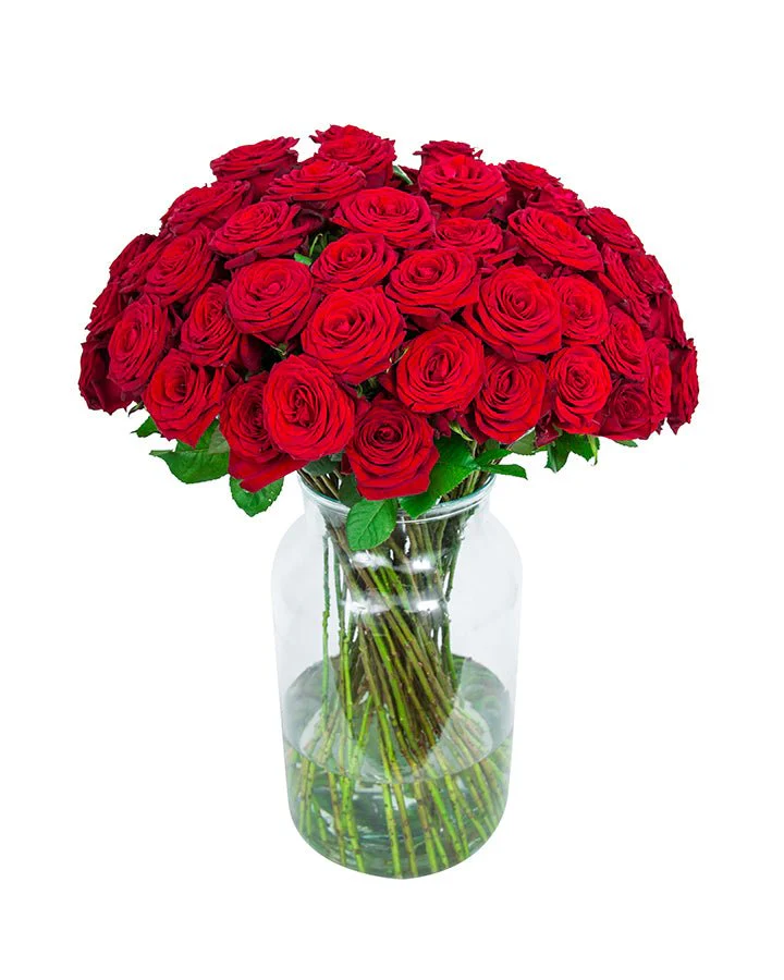 Roses - Long Stemmed - Red - Image 5