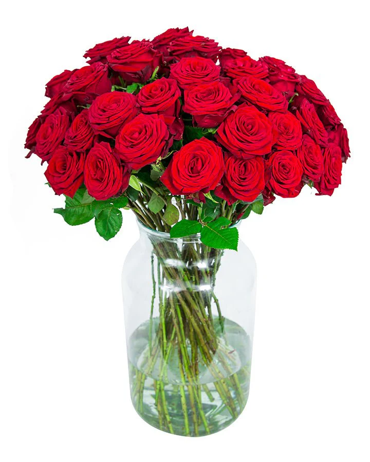 Roses - Long Stemmed - Red - Image 6