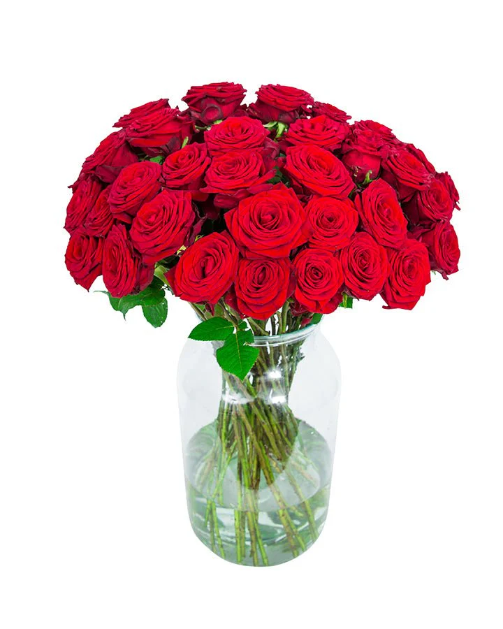 Roses - Long Stemmed - Red - Image 7