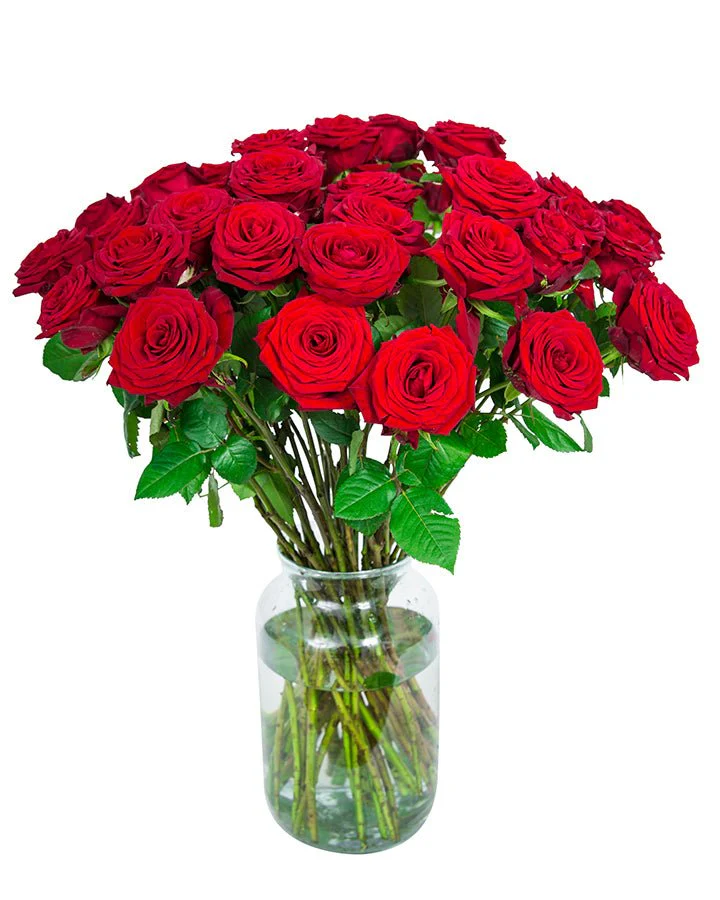 Roses - Long Stemmed - Red - Image 8