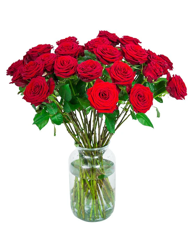 Roses - Long Stemmed - Red - Image 9