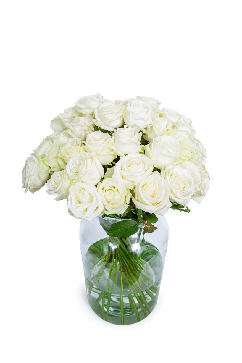 Roses - Long Stemmed - White - Image 10