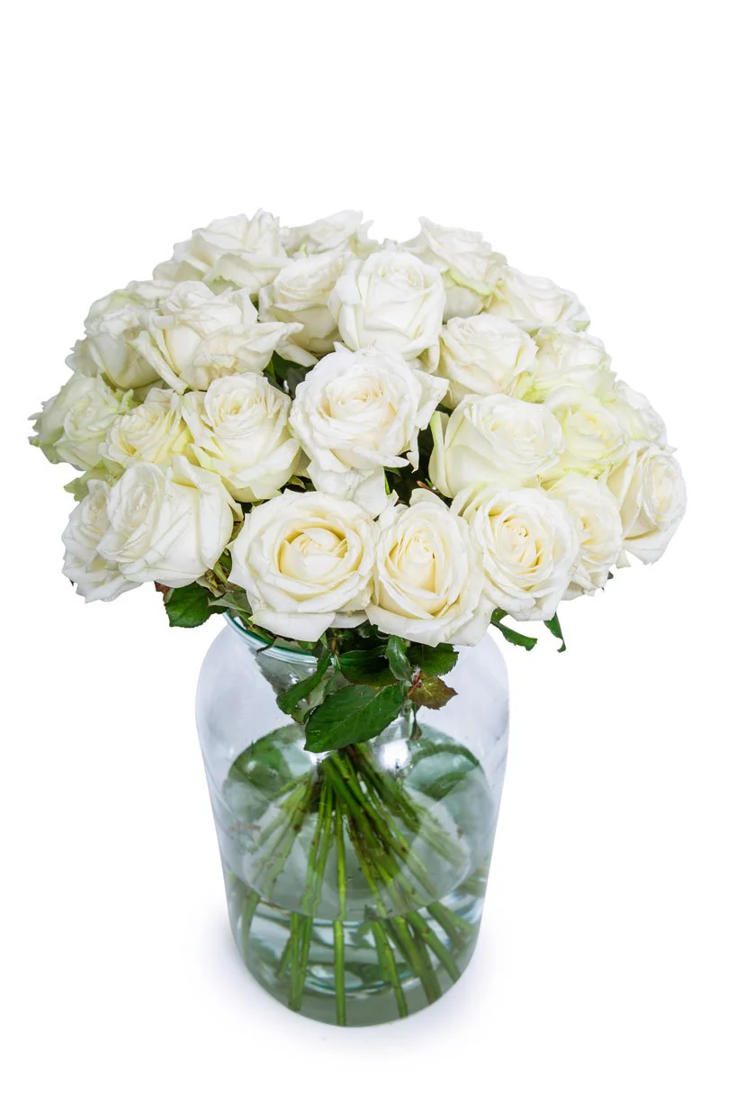 Roses - Long Stemmed - White - Image 11