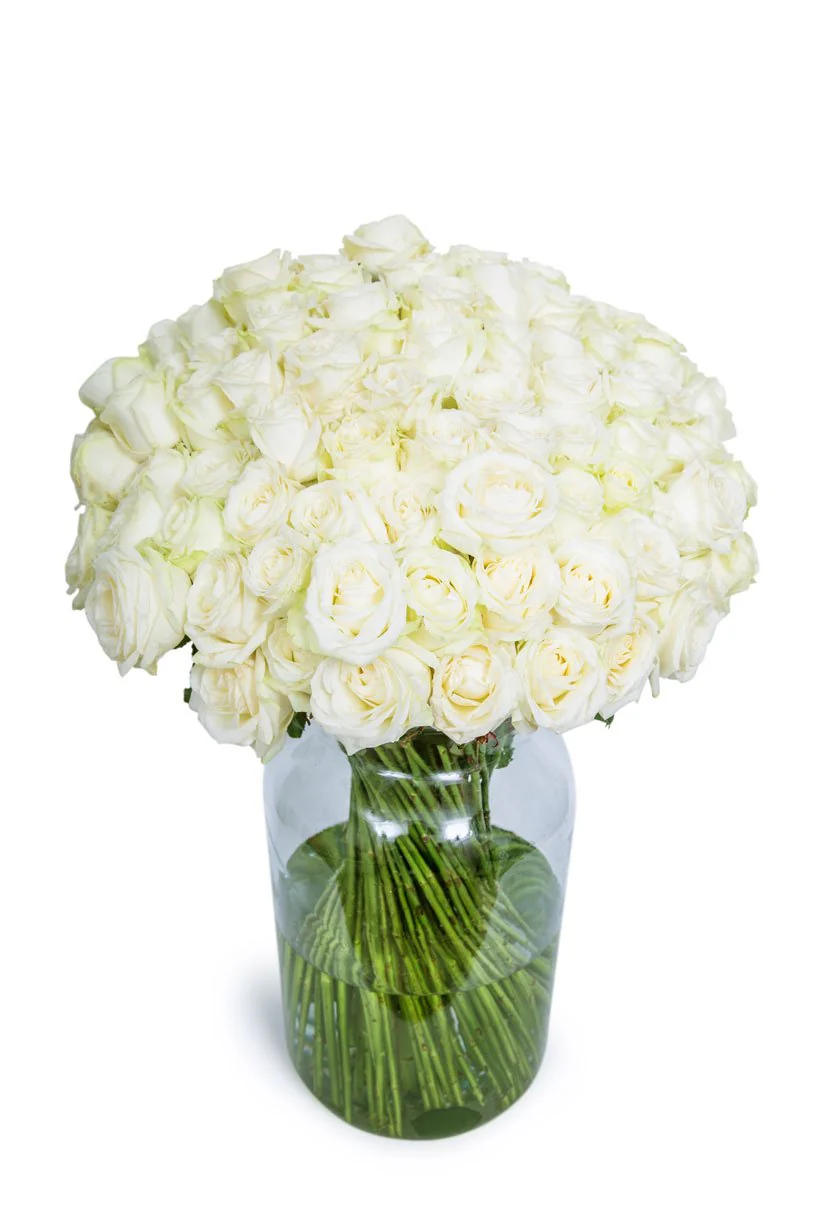 Roses - Long Stemmed - White - Image 3