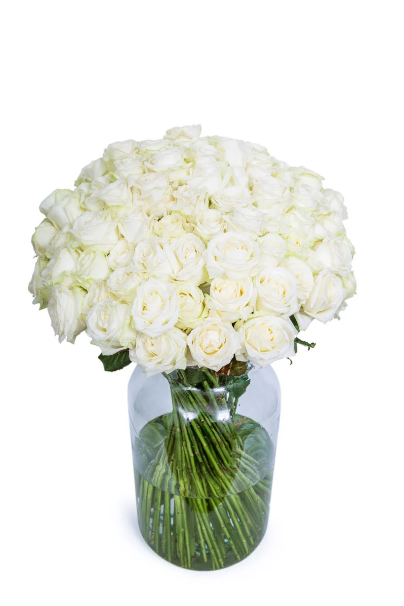 Roses - Long Stemmed - White - Image 4