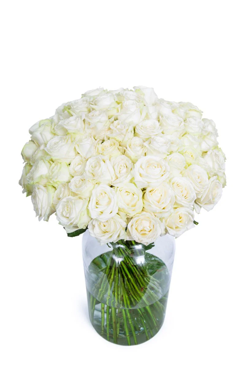 Roses - Long Stemmed - White - Image 5