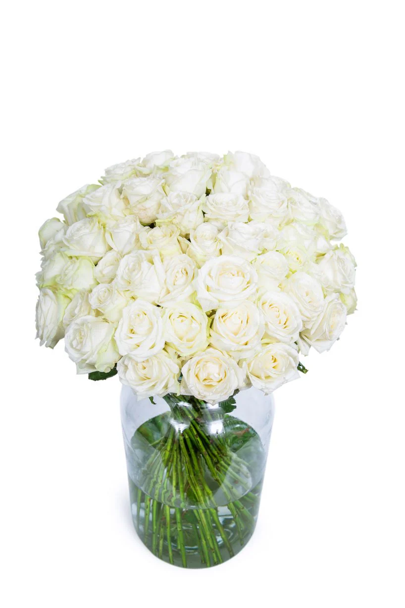 Roses - Long Stemmed - White - Image 6