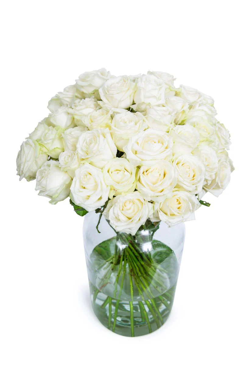 Roses - Long Stemmed - White - Image 9