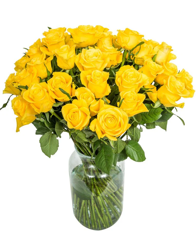 Roses - Long Stemmed - Yellow - Image 11