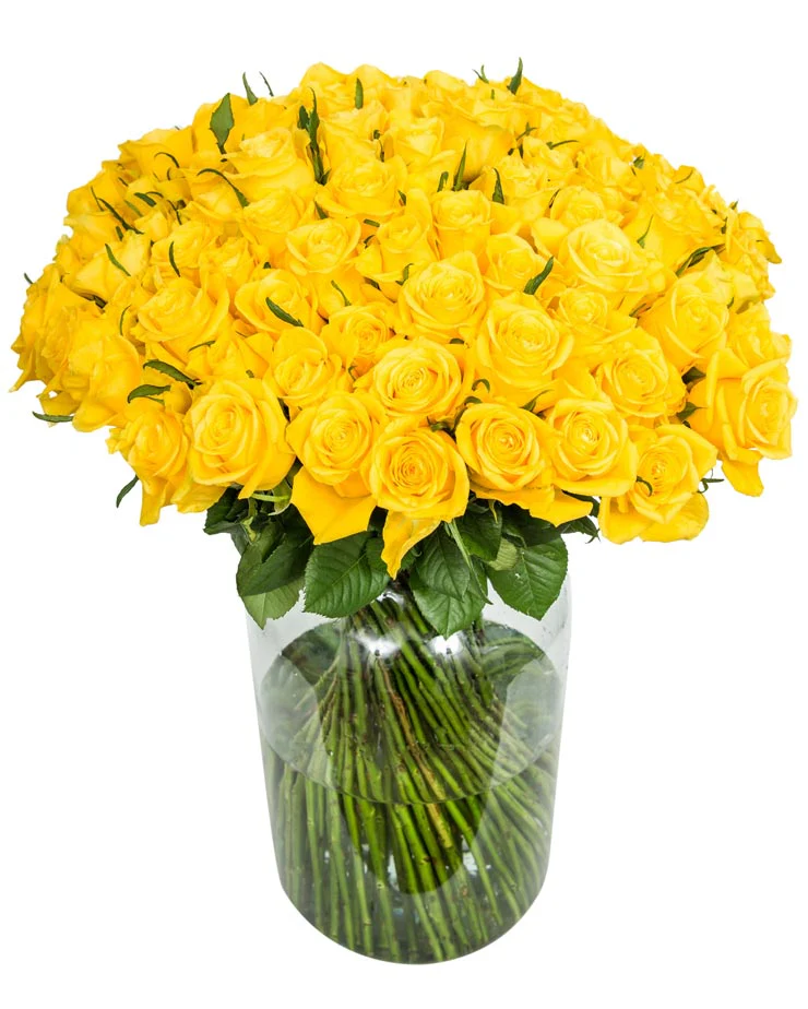Roses - Long Stemmed - Yellow - Image 3