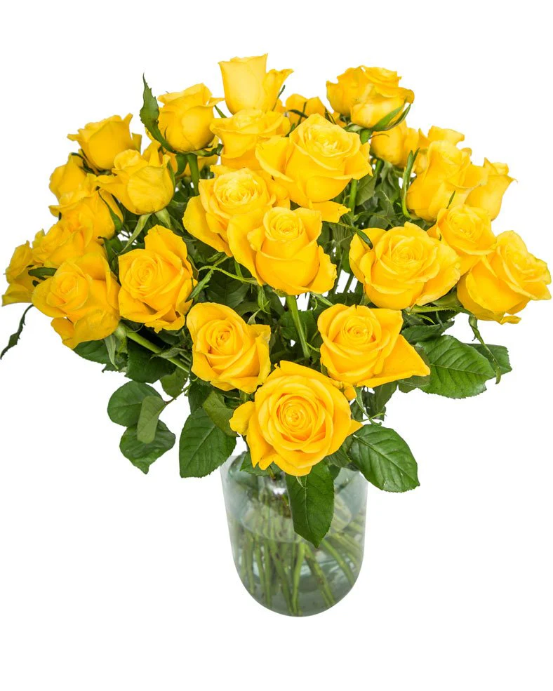 Roses - Long Stemmed - Yellow - Image 4