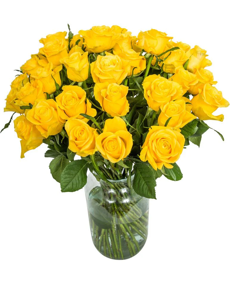 Roses - Long Stemmed - Yellow - Image 5