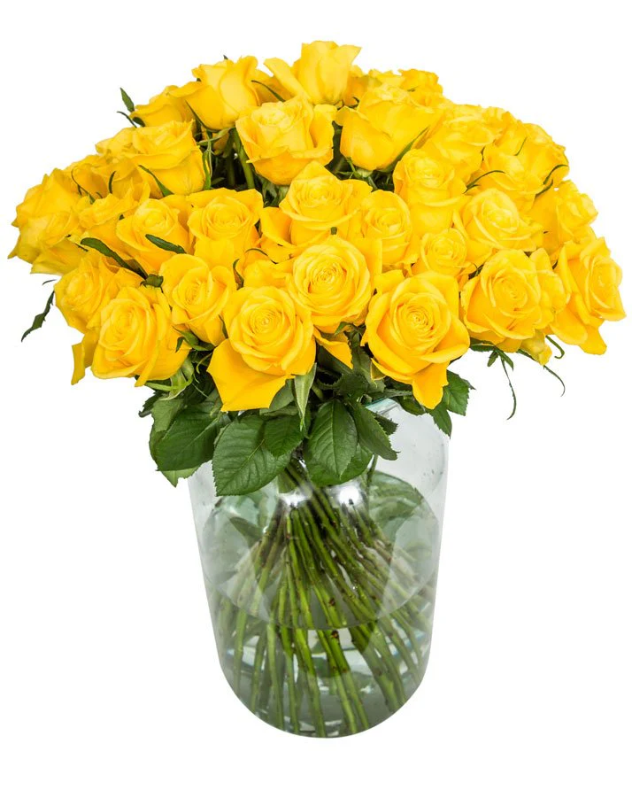 Roses - Long Stemmed - Yellow - Image 6