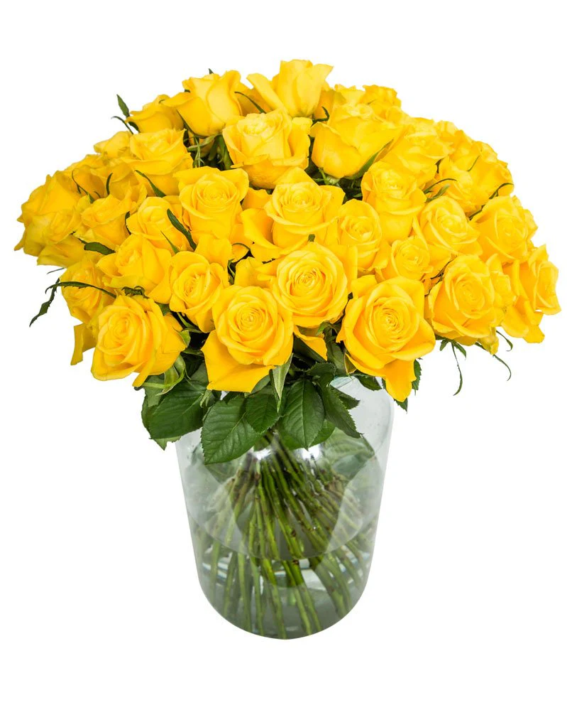 Roses - Long Stemmed - Yellow - Image 8