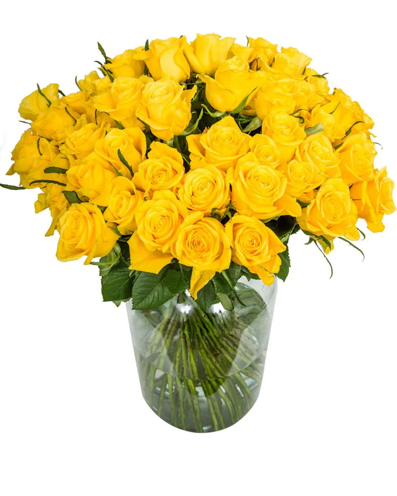 Roses - Long Stemmed - Yellow - Image 9