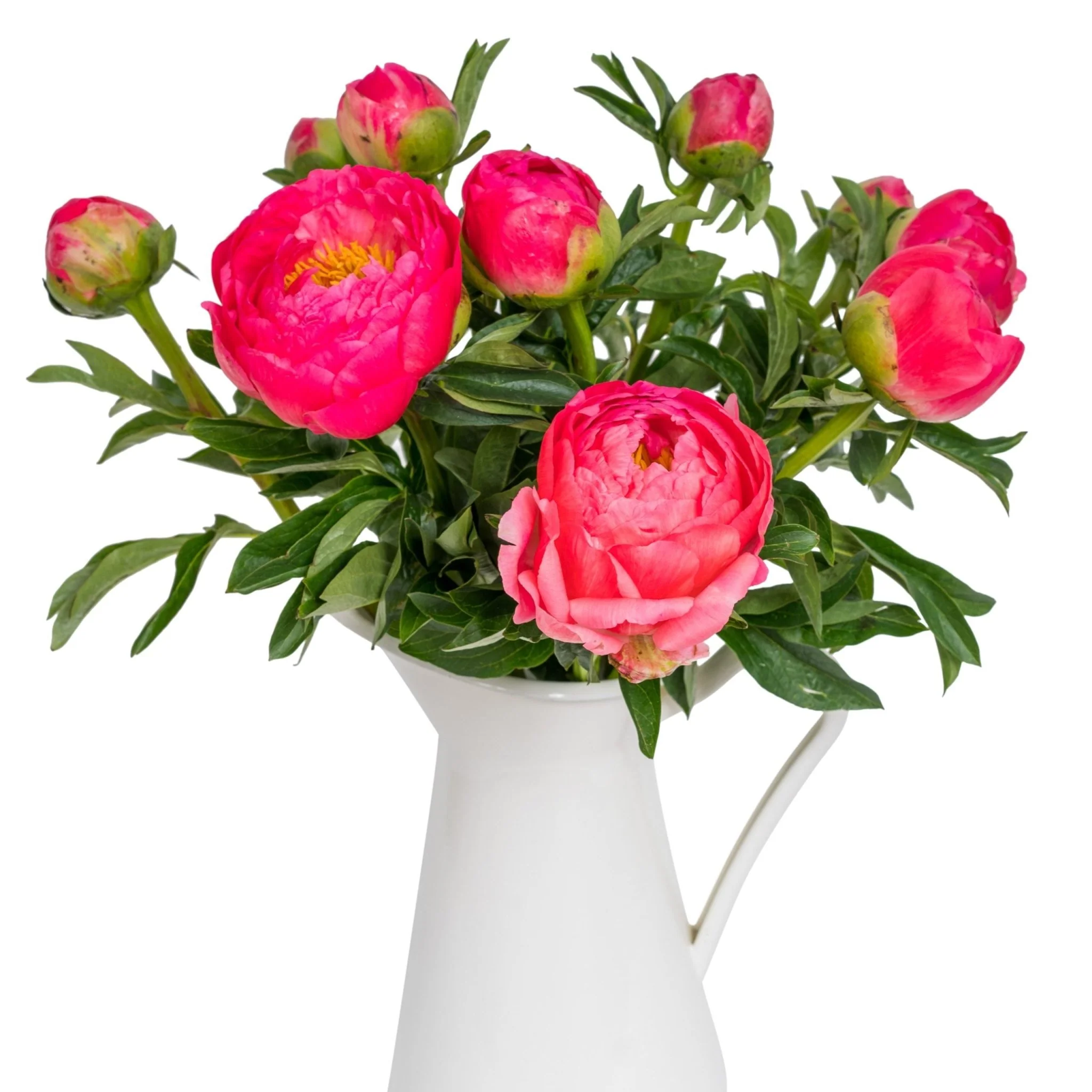 Peonies - Coral - Image 4