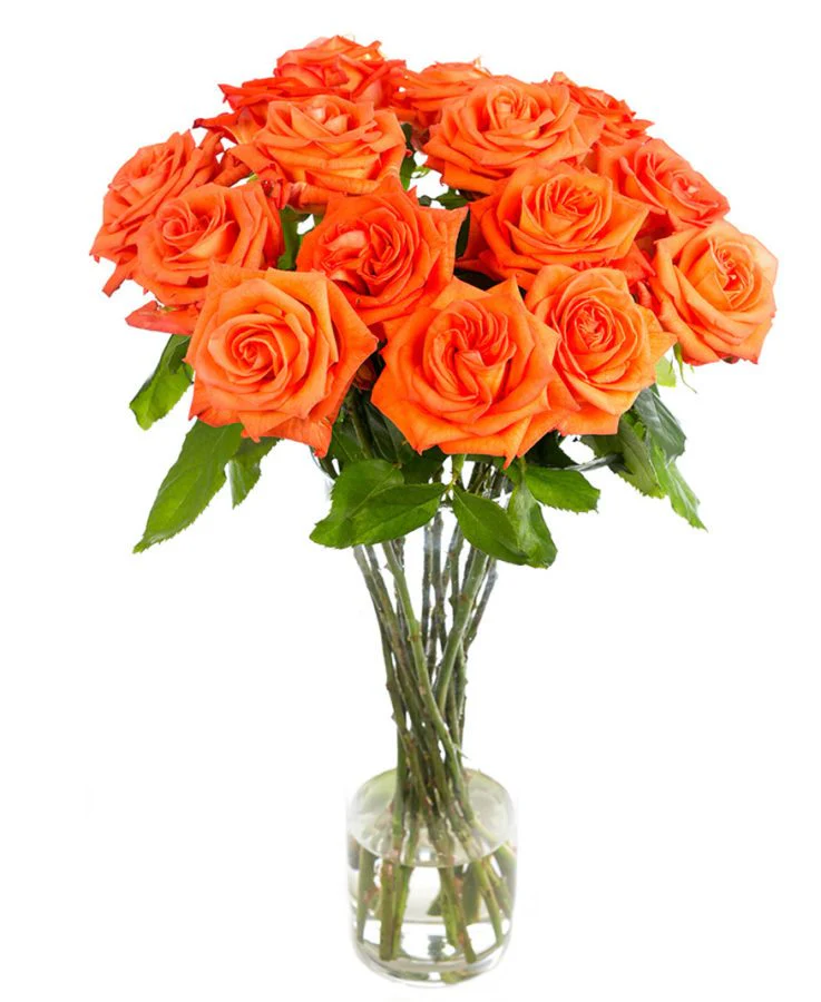 Subscription Flowers - Roses - Image 6