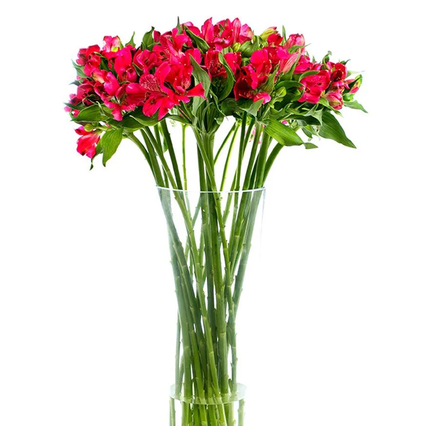Subscription Flowers - Alstroemeria - Image 5