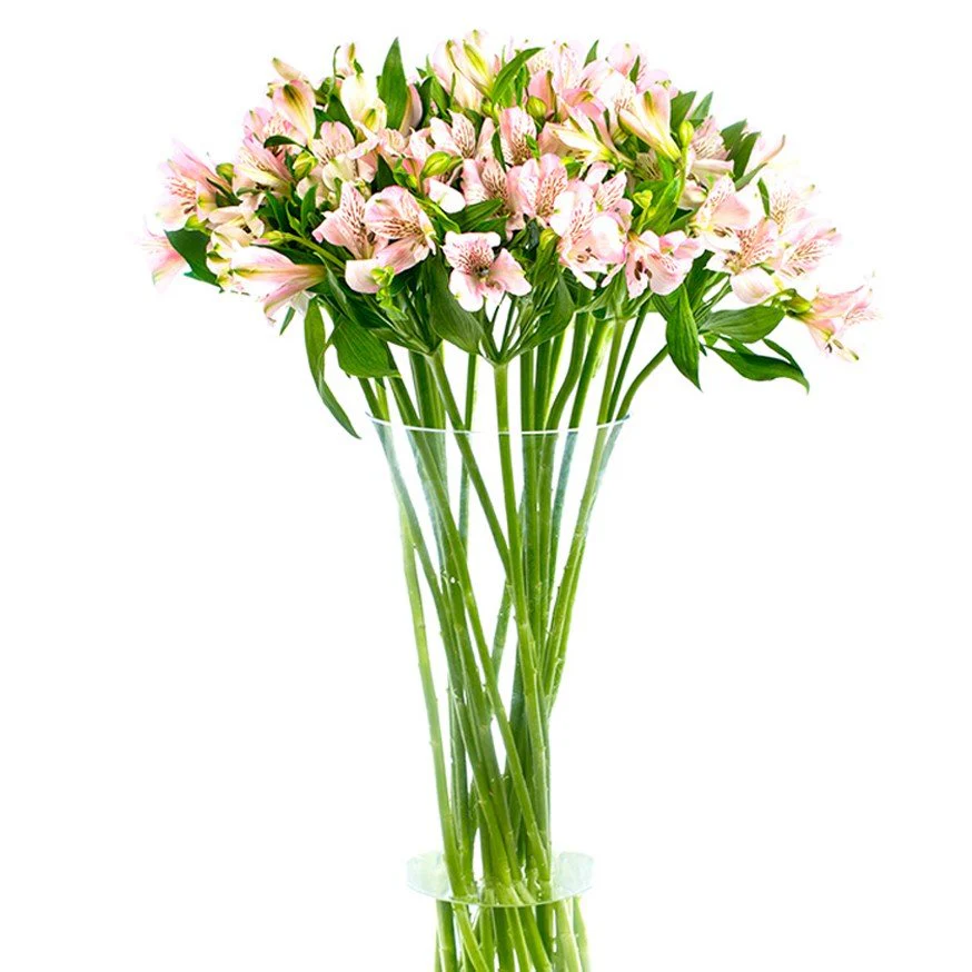 Subscription Flowers - Alstroemeria - Image 7