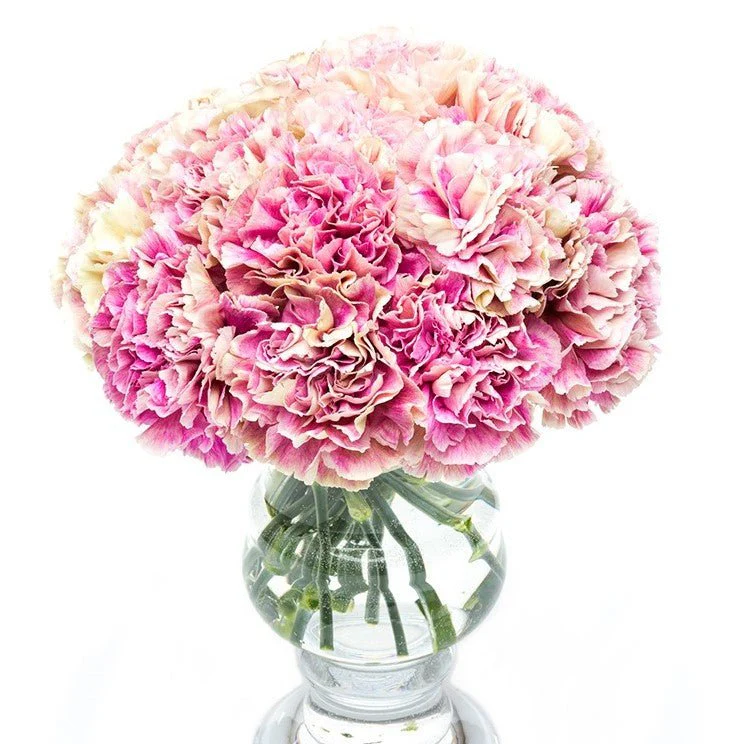 Subscription Flowers - Carnations - Image 3
