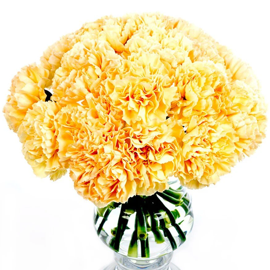 Subscription Flowers - Carnations - Image 4