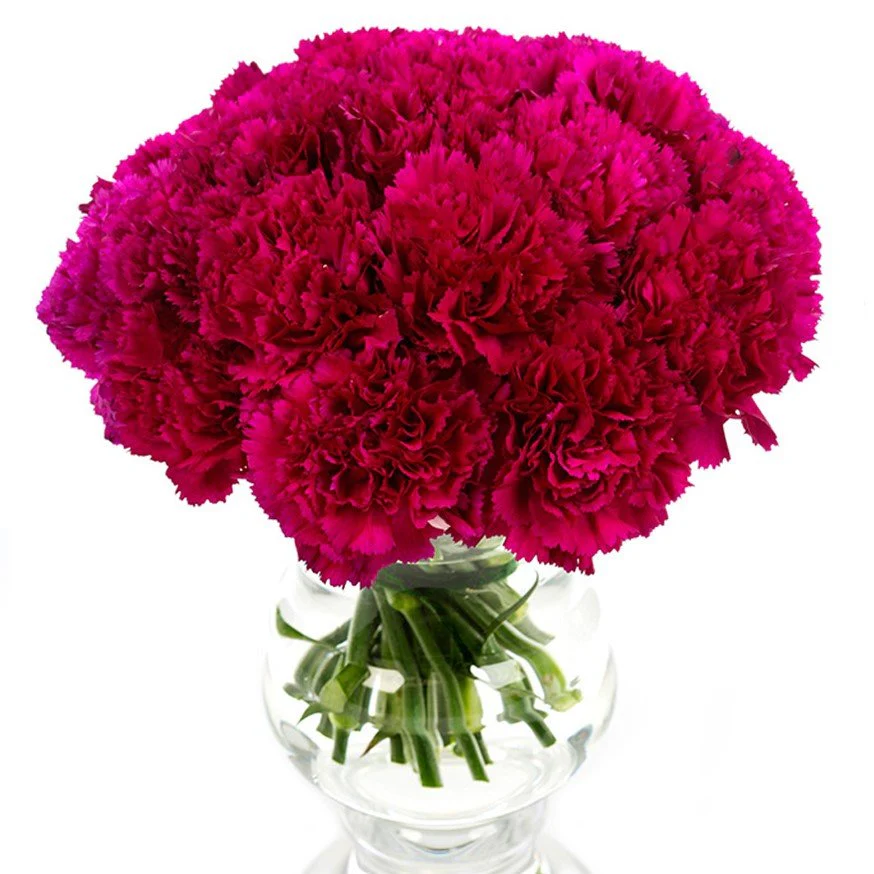Subscription Flowers - Carnations - Image 5