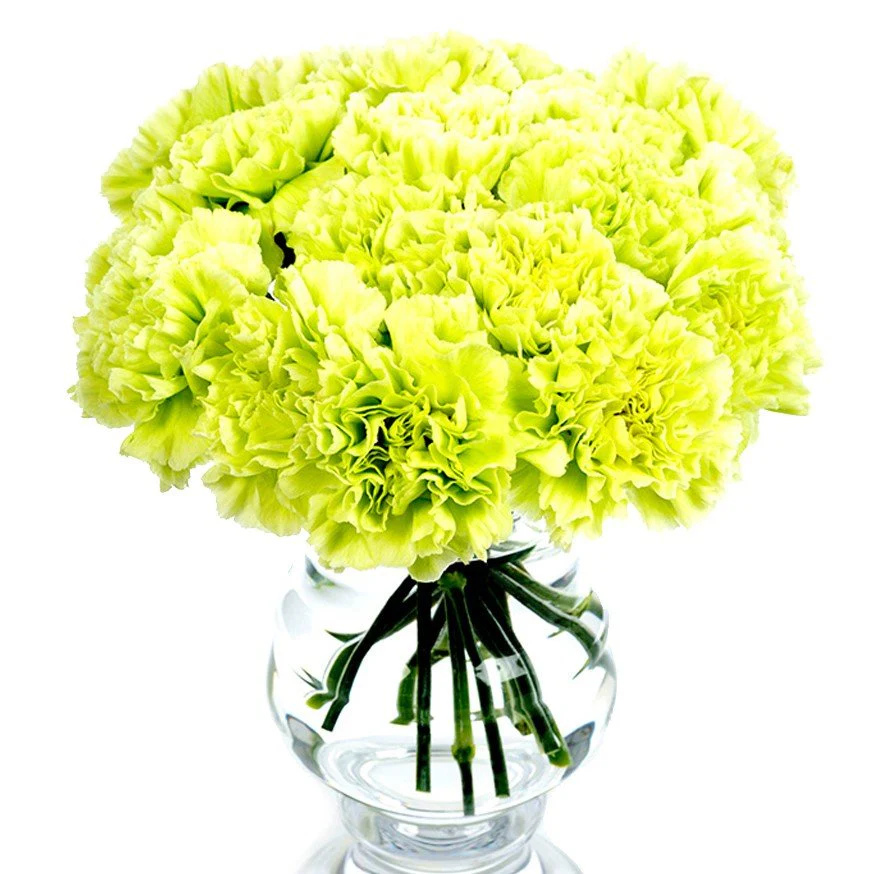 Subscription Flowers - Carnations - Image 6