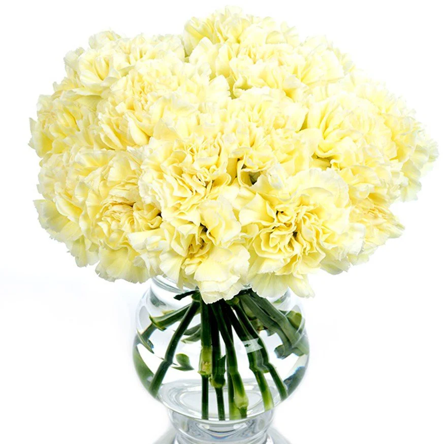 Subscription Flowers - Carnations - Image 7