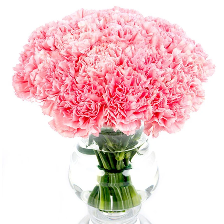 Subscription Flowers - Carnations - Image 8