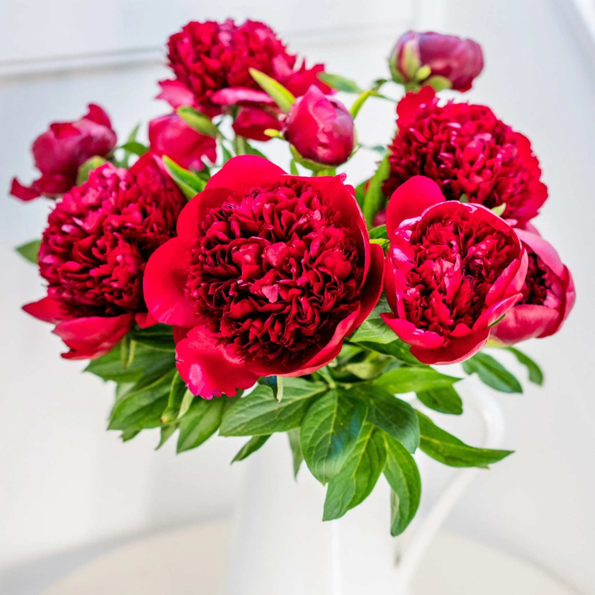Subscription Flowers - Peonies - Image 4