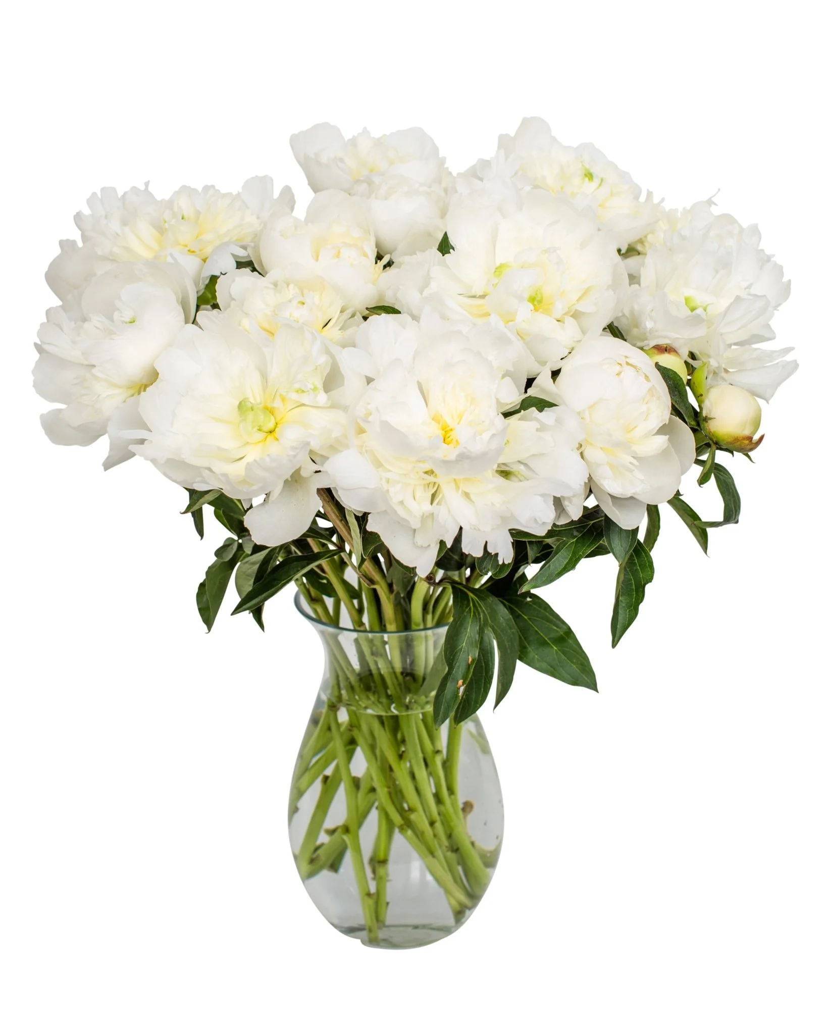 Subscription Flowers - Peonies - Image 6