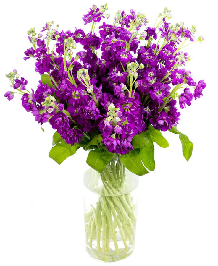 Subscription Flowers - Stocks - Image 3