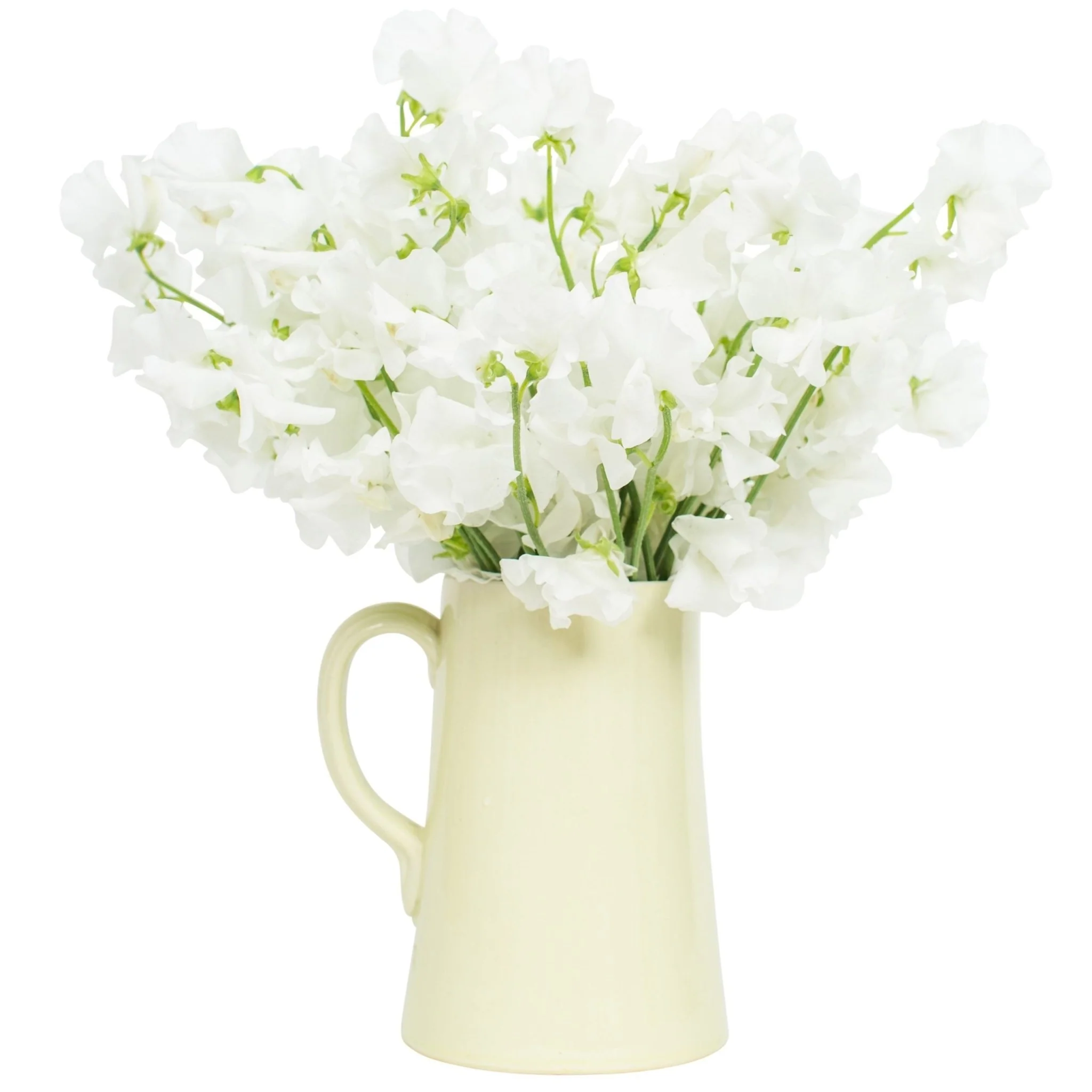 Subscription Flowers - Sweet Peas - Image 3