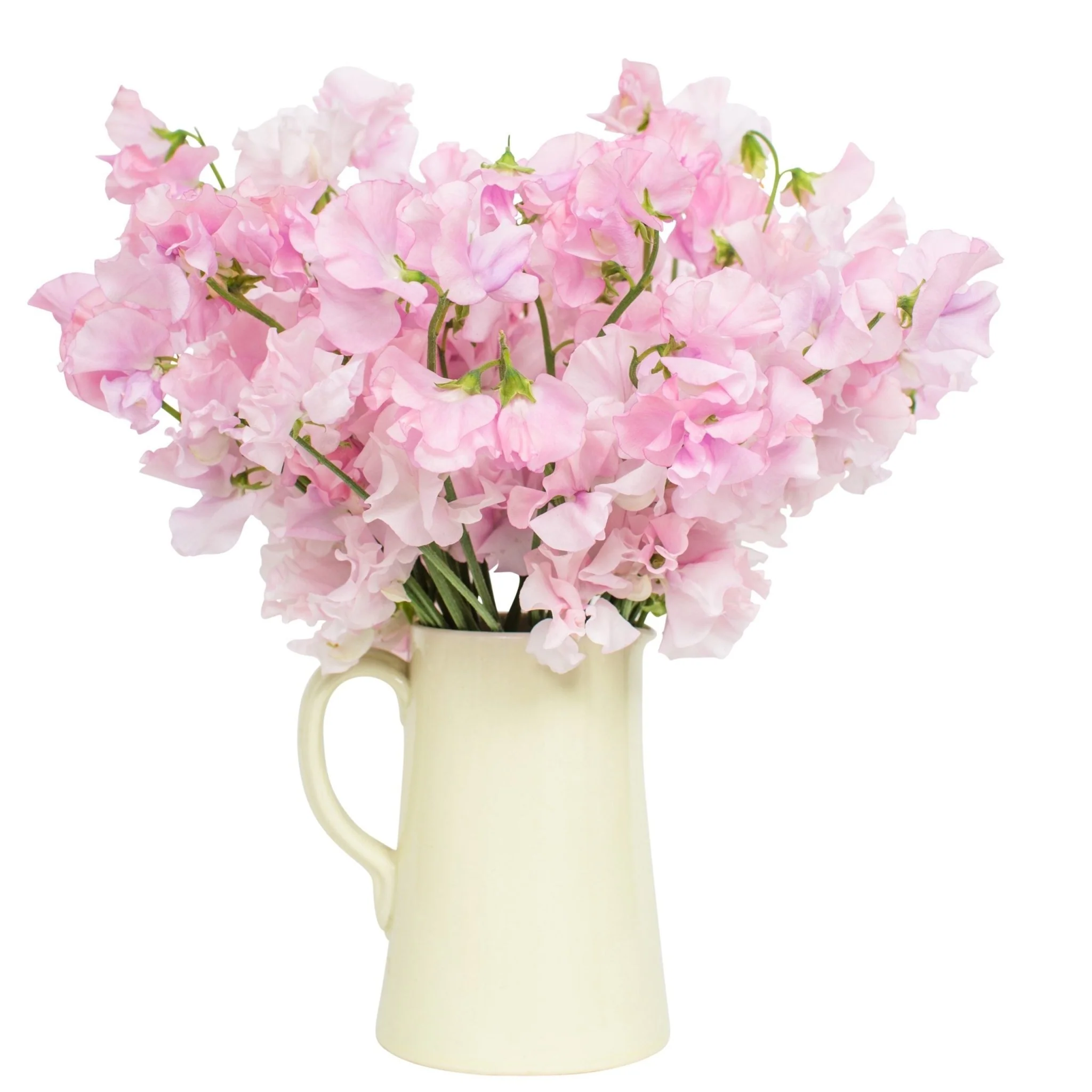 Subscription Flowers - Sweet Peas - Image 4