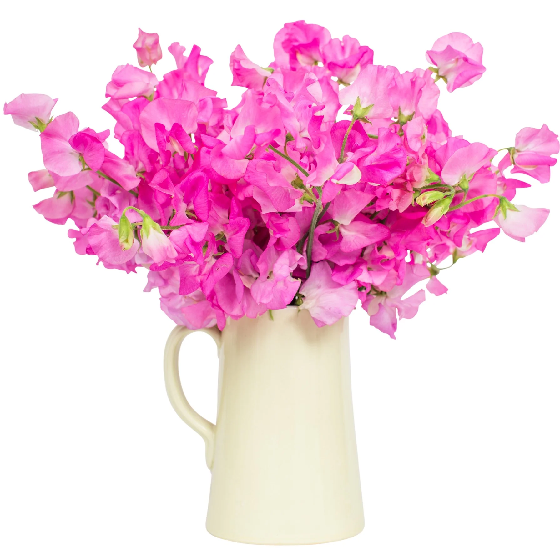 Subscription Flowers - Sweet Peas - Image 5