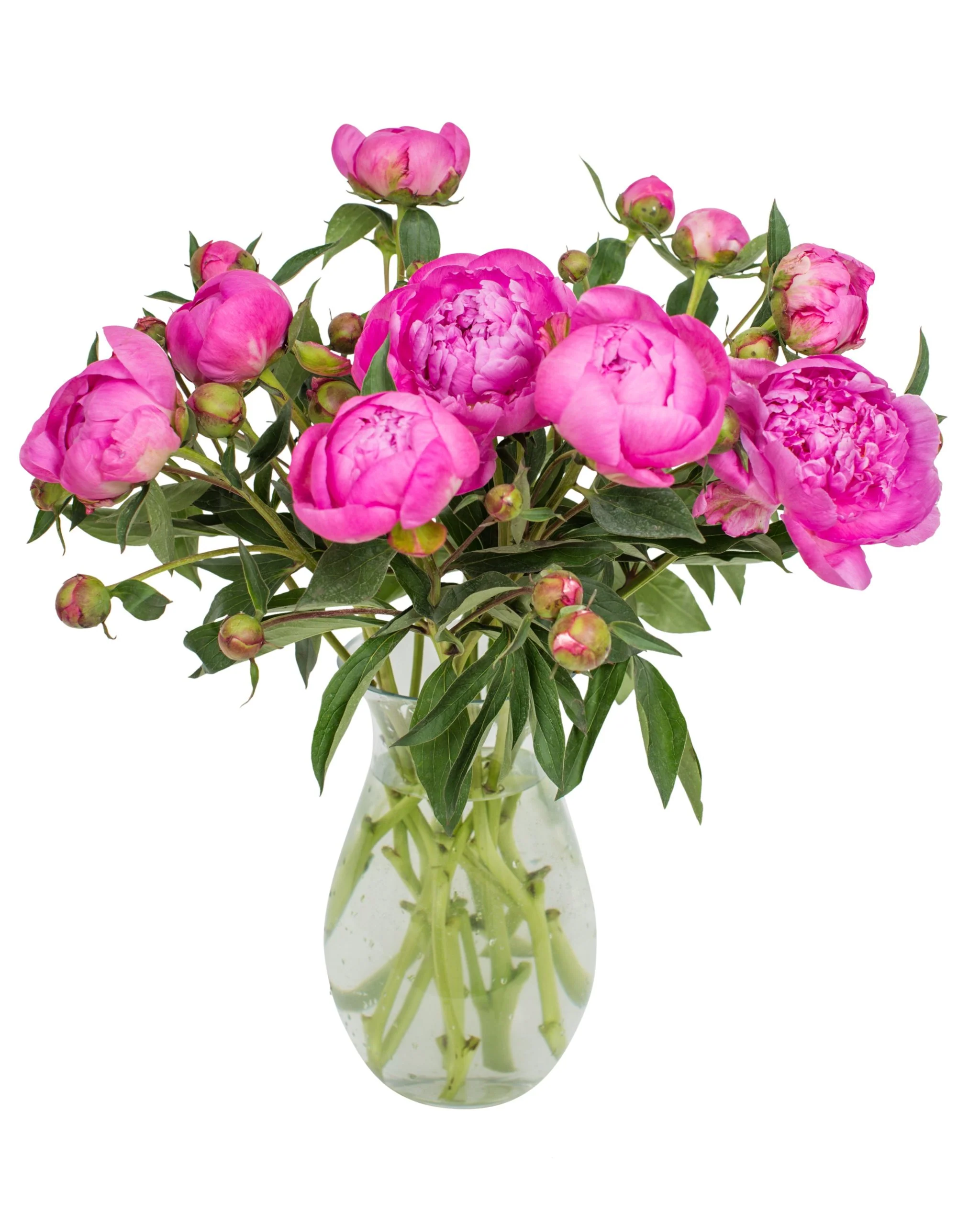 Summer Peonies - Great Value Bouquets - Image 10