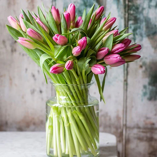 Tulips - Pink - Image 3