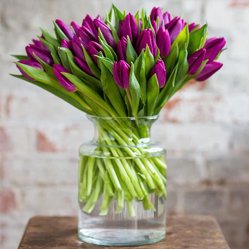 Tulips - Purple - Image 3