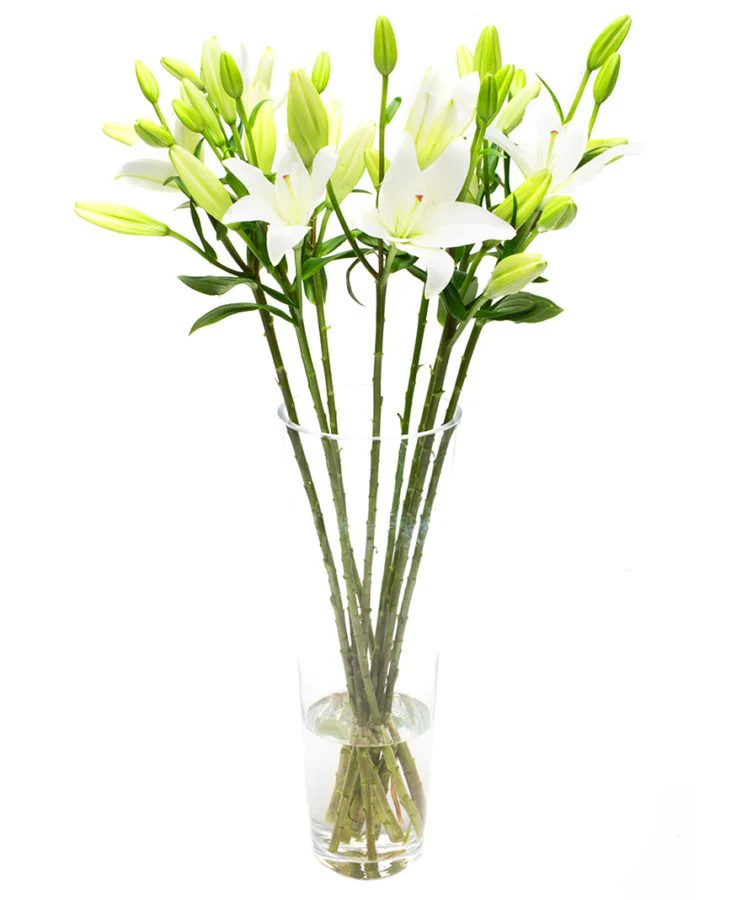 Subscription Flowers - White - Image 10