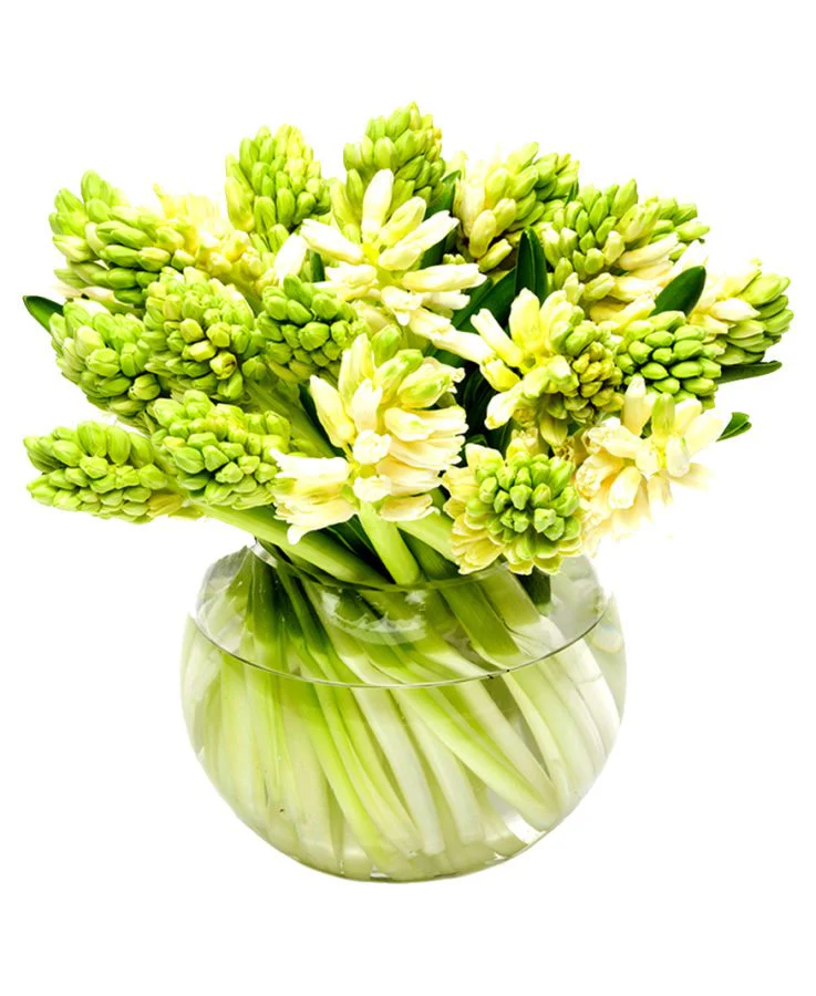 Subscription Flowers - White - Image 11