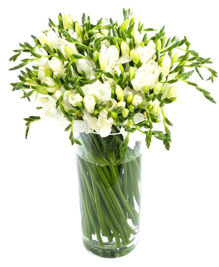 Subscription Flowers - White - Image 12