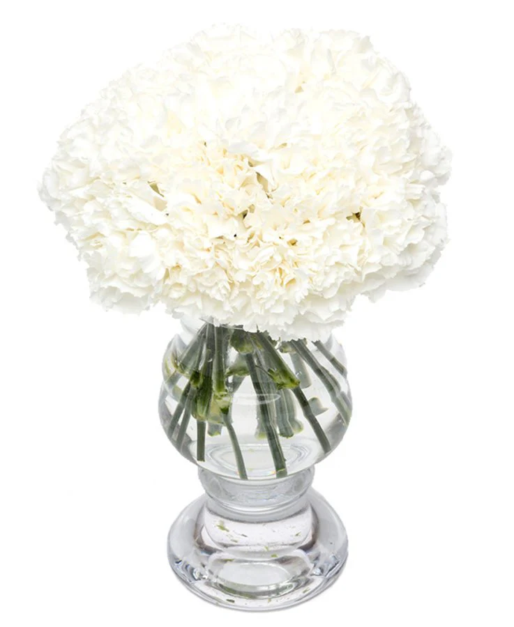 Subscription Flowers - White - Image 13