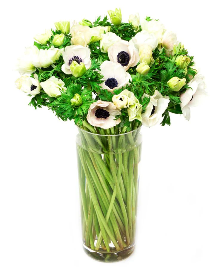 Subscription Flowers - White - Image 14